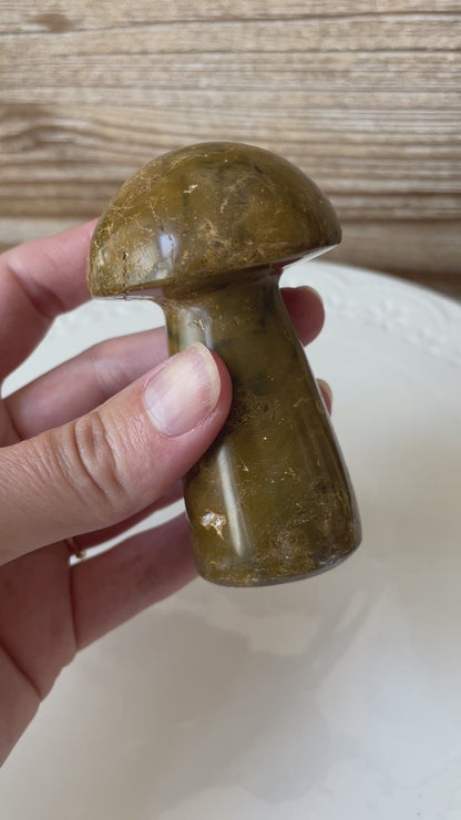 Brown Ocean Jasper | Mushroom Carving