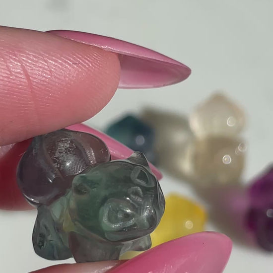 Pokémon figurine Bulbasaur carving fluorite tiny crystal bulbasaur fluorite display collectible pokemon natural crystal rainbow fluorite multicolor Pokemon decor bulbasaur stocking stuffer pokemon gift