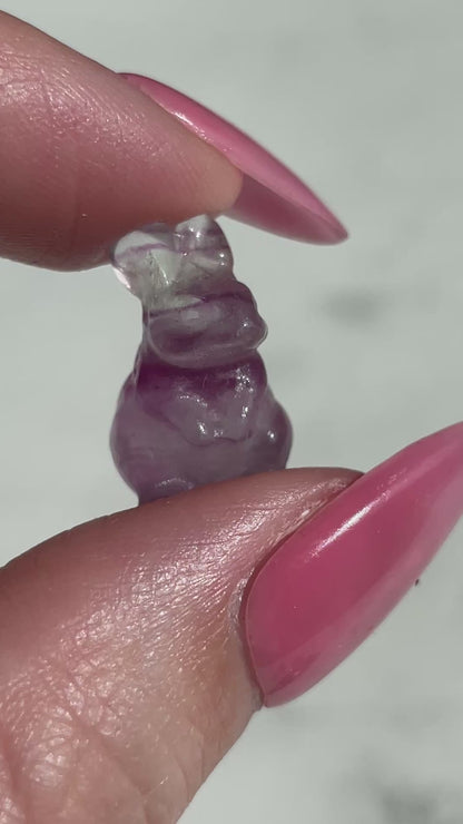 One (1) Mini Fluorite Crystal Carving | Rabbit | Intuitively Chosen