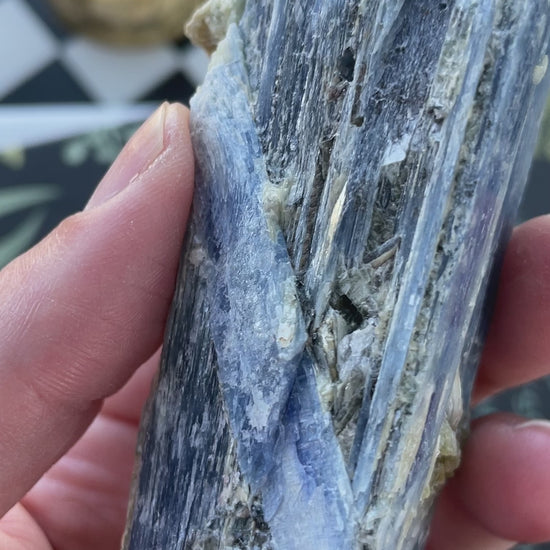 blue kyanite raw crystal specimen natural rock mineral healing stone magic crystal altar piece witchcraft gift for witch