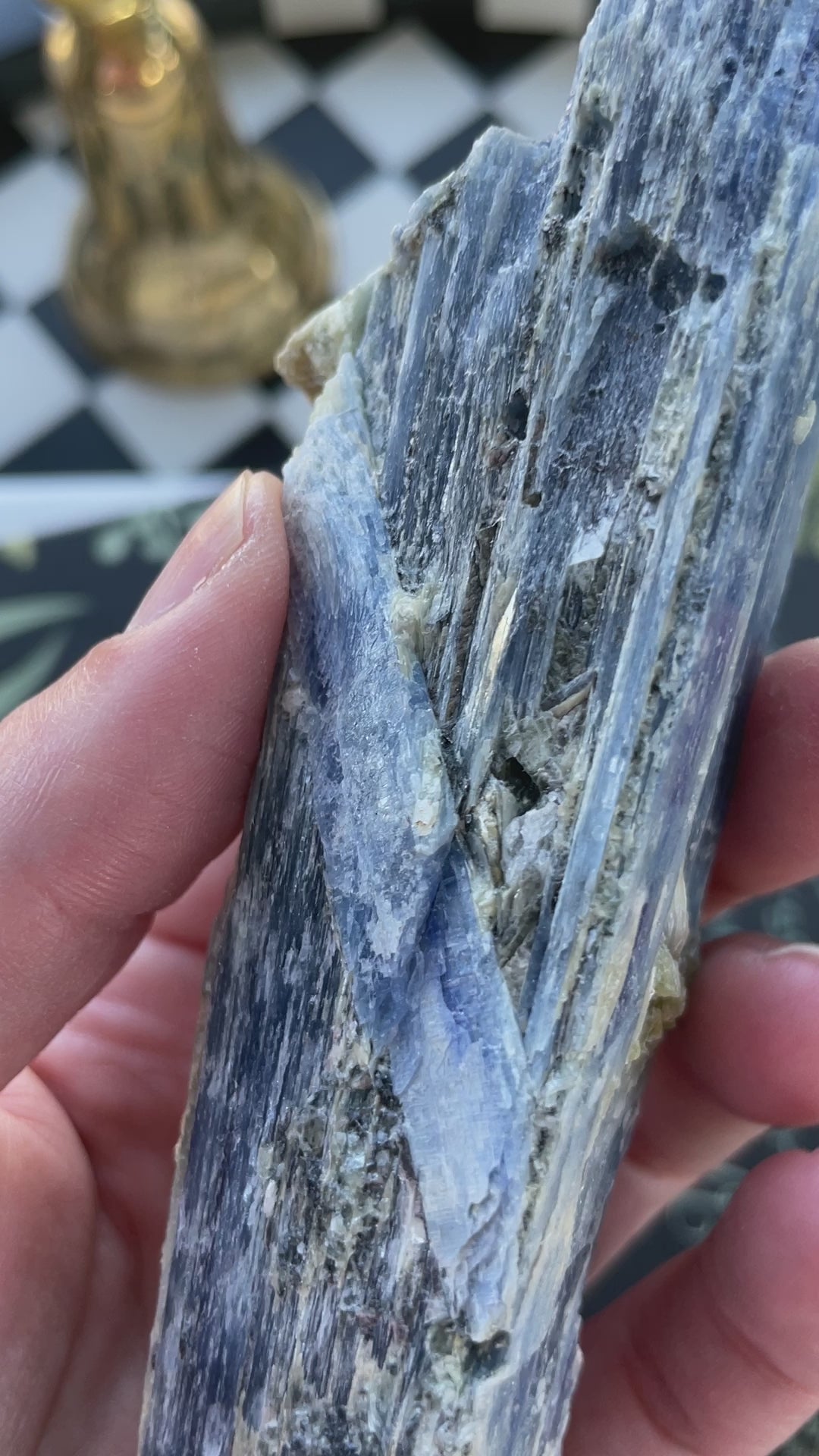 blue kyanite raw crystal specimen natural rock mineral healing stone magic crystal altar piece witchcraft gift for witch