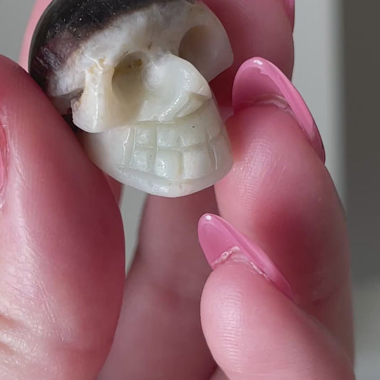 Hand-carved druzy calcite skull, small white and brown crystal for collectors.