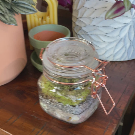 mini mason jar terrarium 