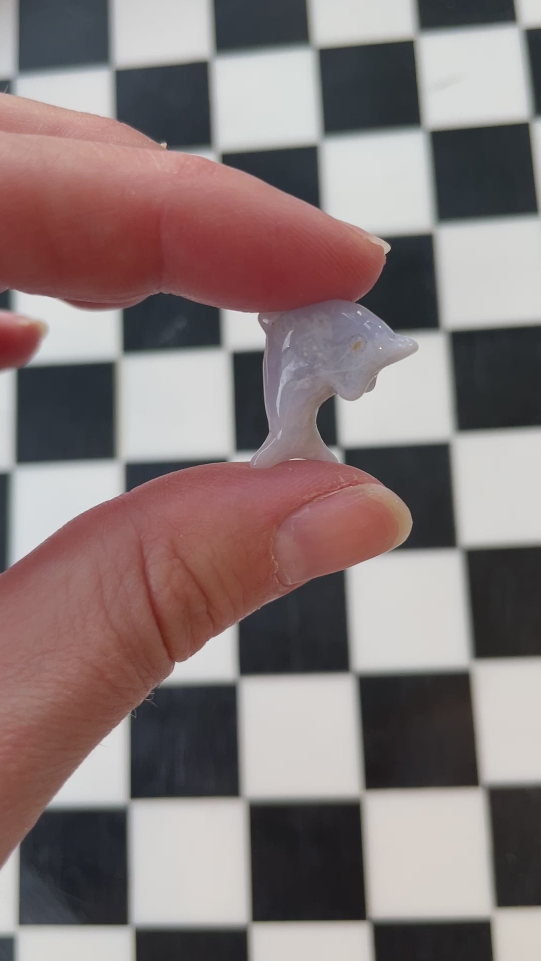 blue lace agate dolphin crystal carving hand carved crystal gift for friend spiritual gift rock minerals crystal point natural home decor altar piece healing crystal gift for witch ocean animal sea creature water 