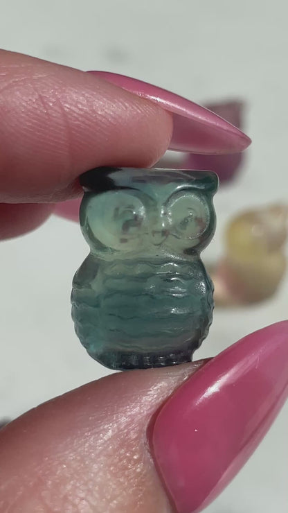 One (1) Mini Fluorite Crystal Carving | Owl | Intuitively Chosen