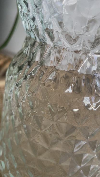 Glass Diamond Pattern Bud Vase Propagation Vessel