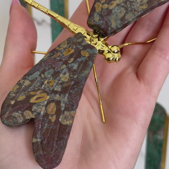 Rainforest Jasper Dragonfly Crystal Carving Natural Stone Display Piece Shimmery Multicolor Speckled Wings Gold Metal Accented Design Spiritual Transformation Symbol Manifestation Focus Crystal Statement Collection Showcase Beautiful Wings